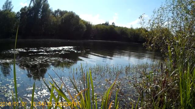 караси на поплавок 2 смотреть онлайн