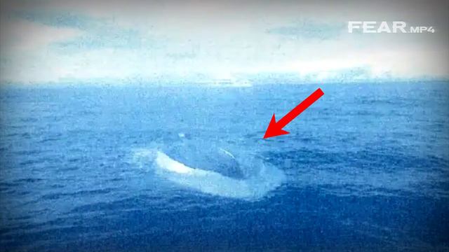 Одна ошибка — два трупа. Что погубило юных рыбаков смотреть онлайн