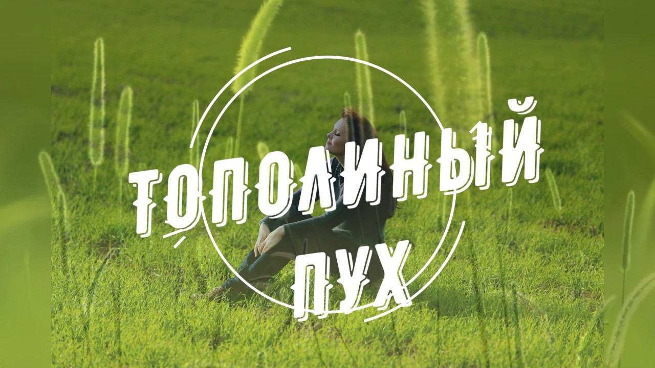 SEVENROSE - Тополиный пух (NEW 2019) смотреть онлайн