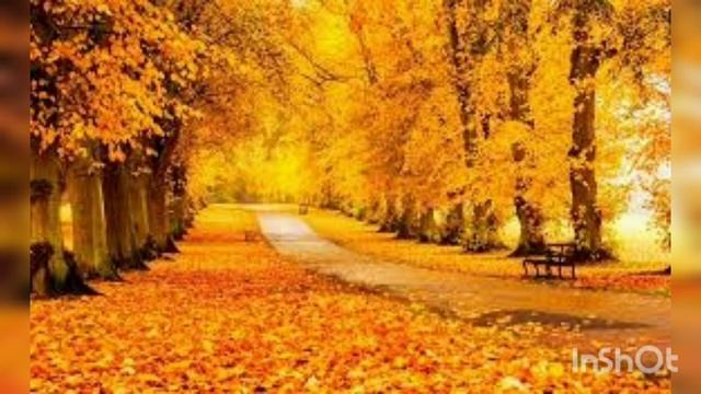 27 июля 2020 г. смотреть онлайн