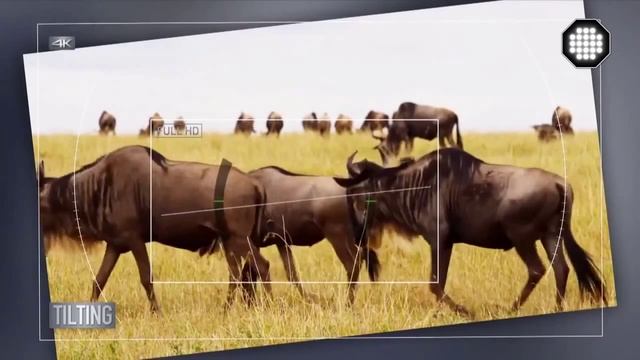 Отличие 4К видео от FullHD видео Пояснения Подсказки Видеомонтаж смотреть онлайн