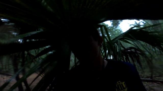 FREAKY RARE Florida Creature! - The Florida Vinegaroon! (ft. @WILDFL) смотреть онлайн
