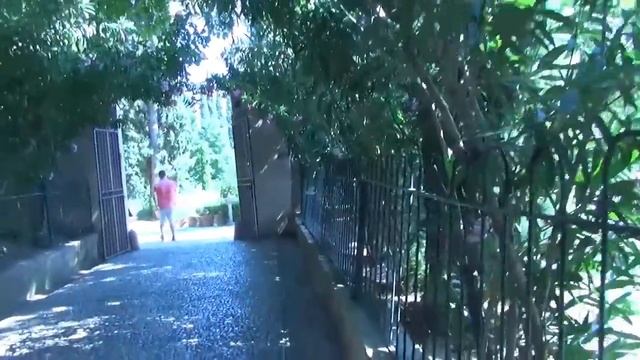 Alhambra & Generalife /Альгамбра и Хенералиф Granada