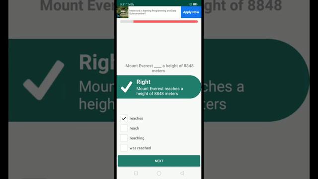MCQ Test related to Tenses | English Grammar Test | Simple Present Tense смотреть онлайн