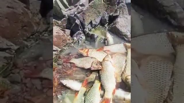 Озер балхаш смотреть онлайн