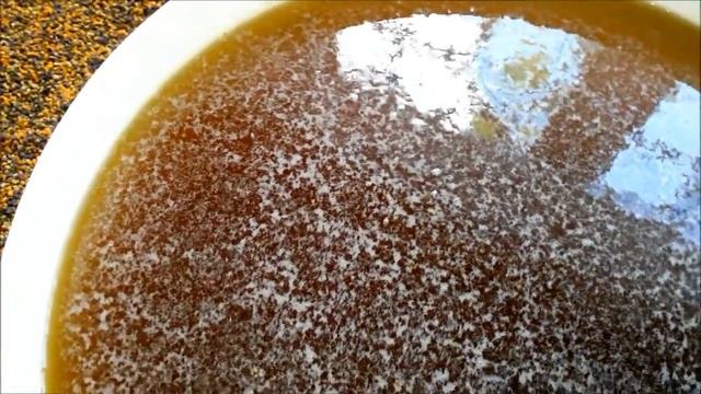 Пчеловодство Качаем мёд разнотравье 2016 Beekeeping Honey grasses 2016 смотреть онлайн