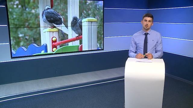Коммунальные службы продолжают ремонтировать детские площадки смотреть онлайн