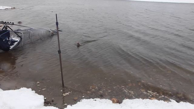 Зимний фидер в Лыткарино смотреть онлайн