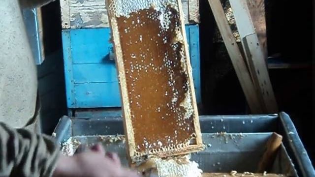 Распечатывание сота смотреть онлайн