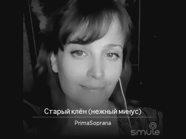 Старый клён. Муз А. Пахмутовой, сл М. Матусовского, написанная для кинофильма «Девчата» смотреть онлайн