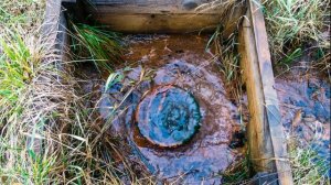 Бермудский треугольник Подмосковья. Урочище Шушмор: куда исчезают люди в аномальной зоне Подмосковь