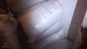 Они хотели съесть все запасы зерна для свиней, амбарный долгоносик. Все сделал вовремя