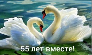 С 55-летием свадьбы!