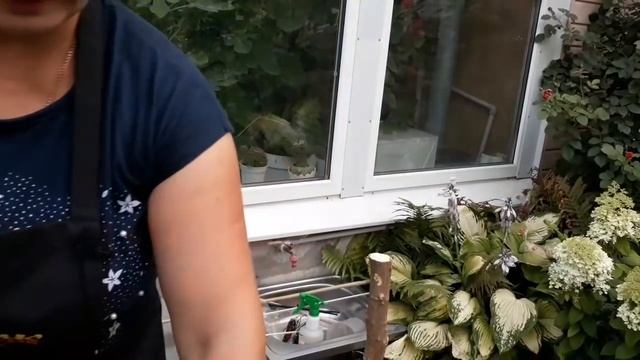 ДомоМастер