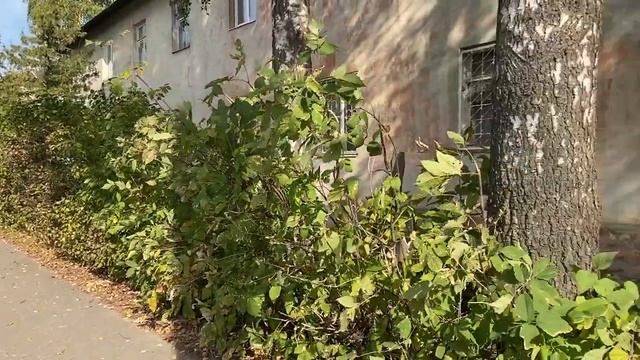Тверь Маяковского 37 смотреть онлайн