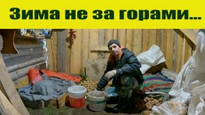 "Муки выбора", готовность к зиме, проволочника нет и деревенские будни!