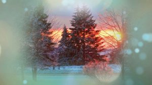 Футаж. Зимний пейзаж 41