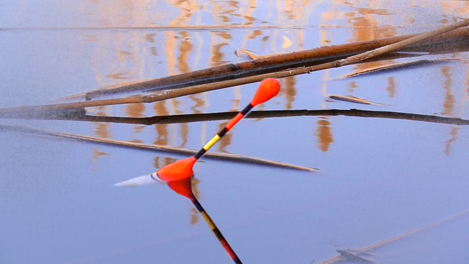НА ПОПЛАВОК В РЕЧУШКЕ, КЛЮЮТ ОНИ! УДАЧНАЯ РЫБАЛКА НА ПОПЛАВОК 2024! Ловля карася на маховую удочку смотреть онлайн