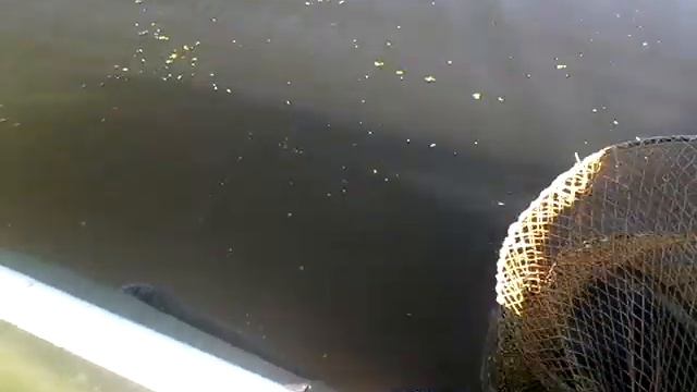 Рыбалка 16.08.2014 смотреть онлайн