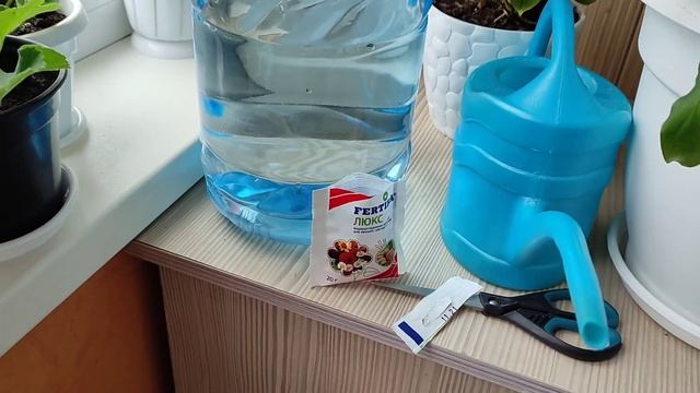 Спатифиллум, Удобрение для Долгого Цветения смотреть онлайн