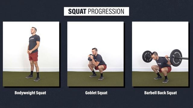 MCL Injury Rehab & Exercises (Medial Collateral Ligament Sprain)