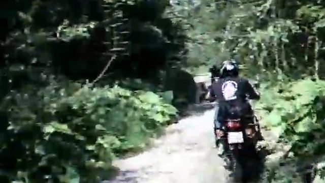 Africa Twin, Transalp, Super Tenere
