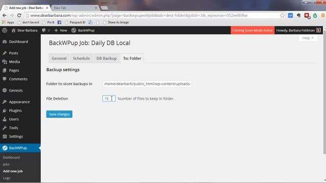 How to Backup WordPress with BackWPup смотреть онлайн