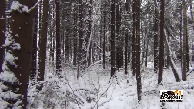 Киевская сказка 08 12 2013