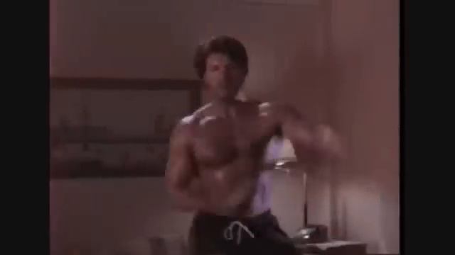 The Perfect Weapon (1991) / Совершенное оружие