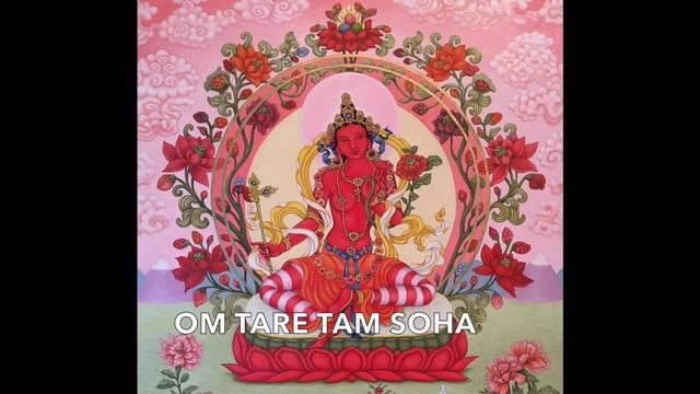 Red Tara Mantra 紅度母心咒 (30 mins)Compassion, love, relationship - Om tare tam soha（relaxing ver.輕快版） смотреть онлайн