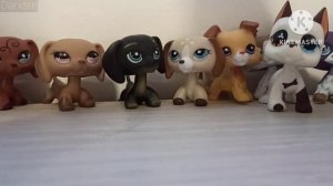 Lps: распаковка:  большая посылка с lps! колли? таксы? стоячки!!