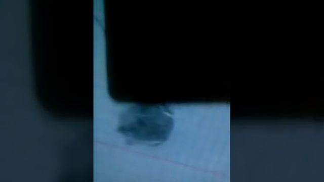 Как без принтера нарисовать 1-2-5-10 рублей смотреть онлайн