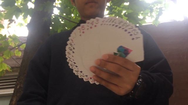 Cardistry with Memento Mori Playing Cards смотреть онлайн