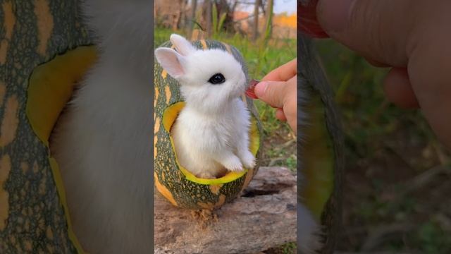милота смотреть онлайн