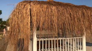 Vlog #15: территория отеля "Liberty Hotels Lara" 5*.