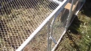 передвижной курятник