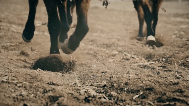 История Бога «Бог выводит израильтян из Египта» смотреть онлайн