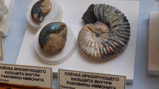 Музей геологоразведки смотреть онлайн