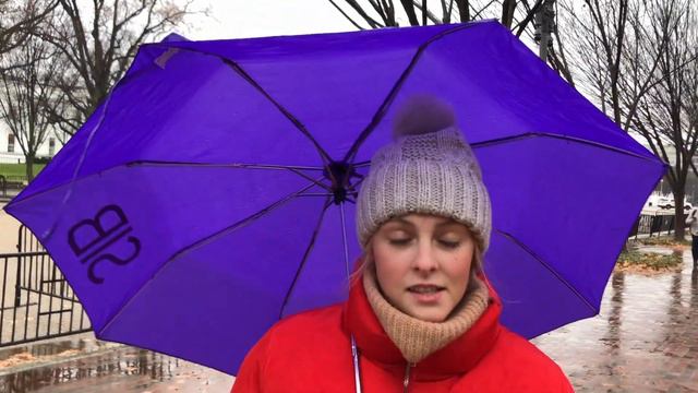 Поездка в Washington DC/мини влог смотреть онлайн