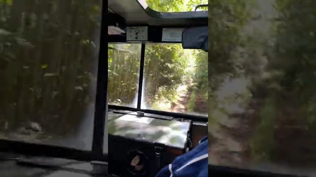 Природа Карелии: Прионежский район: Исследуем природу/Спасибо Базе отдыха «Hunter Paradise”/20.08.2 смотреть онлайн