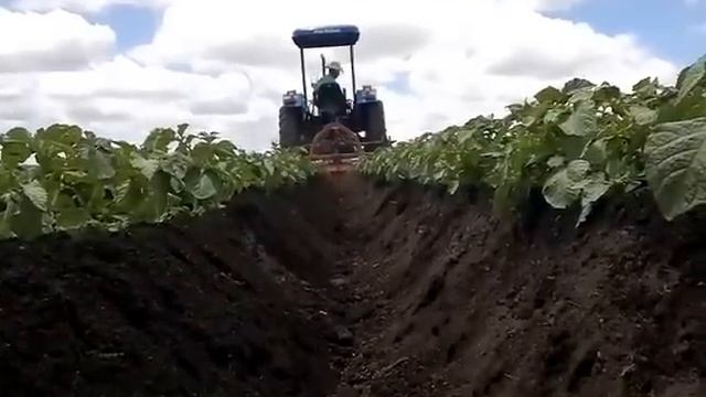 potato no rs montoa смотреть онлайн