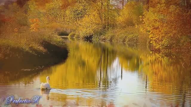 Осенняя Грусть (Stive Morgan - Melancholy)