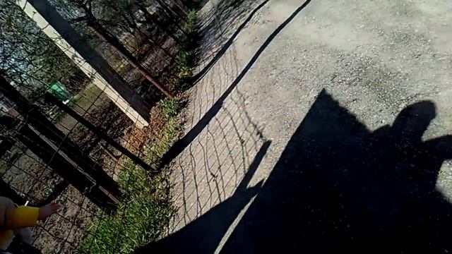Я в зоопарке с Куклой Наташей. смотреть онлайн