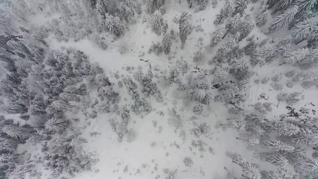 FIMI X8 2022 Winter Flight