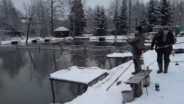 Поимки форели . РК Фишка Липки. смотреть онлайн