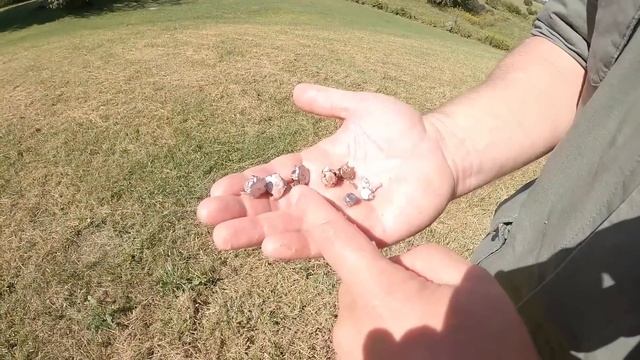Hornady Critical Defense vs Critical Defense Lite смотреть онлайн