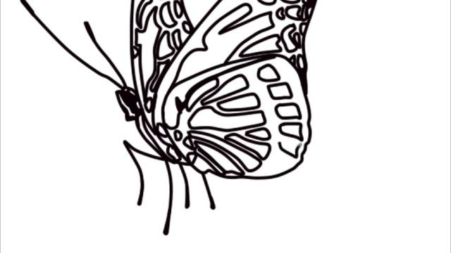 Как нарисовать бабочку 3D | PHOTOSHOP | 3d drawing BUTTERFLY смотреть онлайн