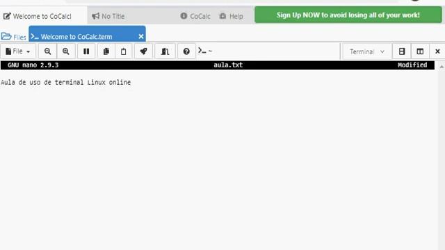 Usando terminal Linux online смотреть онлайн
