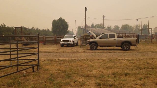 Horses Evacuated to Oregon Horse Center - Eugene, OR - 9/9/2020. смотреть онлайн