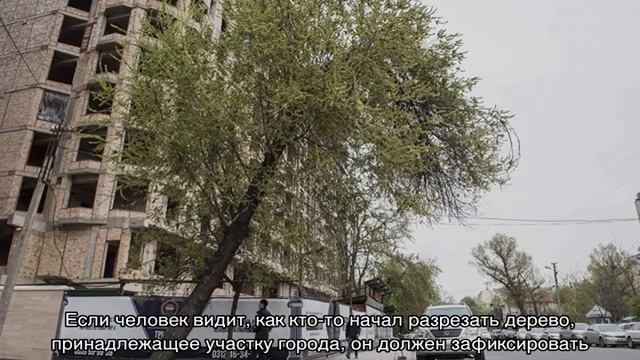 Штраф за спиленное дерево в городе смотреть онлайн